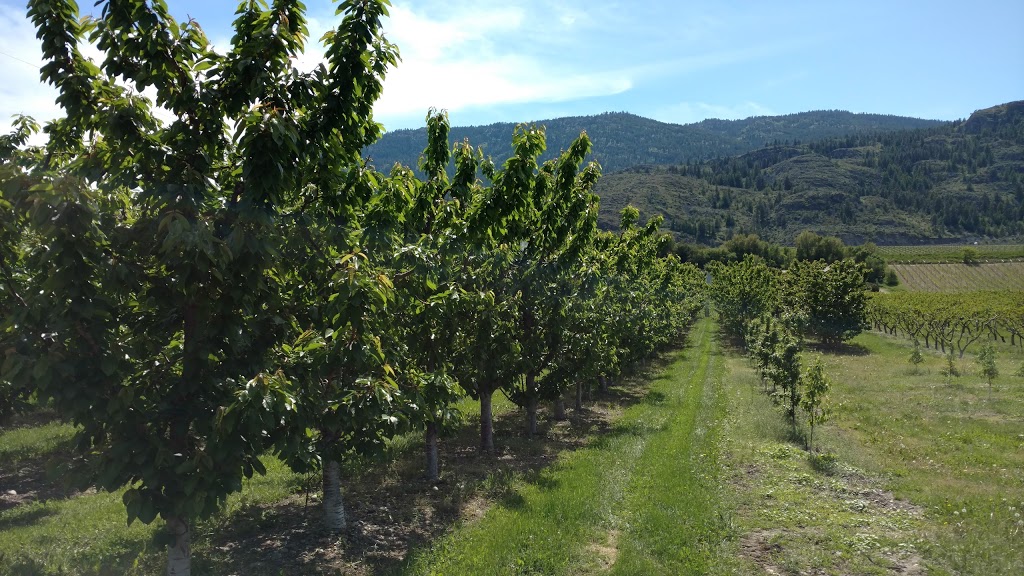Faustino Estate Cidery | 14000 BC-97, Osoyoos, BC V0H 1V2, Canada | Phone: (250) 498-9907