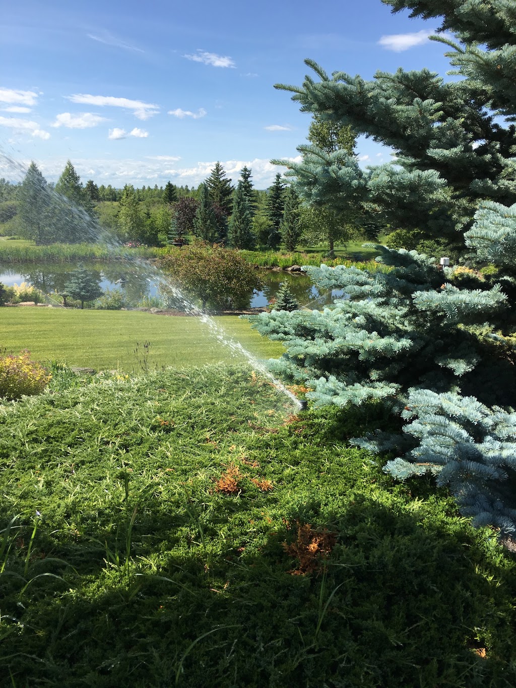 Aqua Magic Irrigation Ltd | 608 42 Ave SE, Calgary, AB T2G 1Y6, Canada | Phone: (403) 287-3939