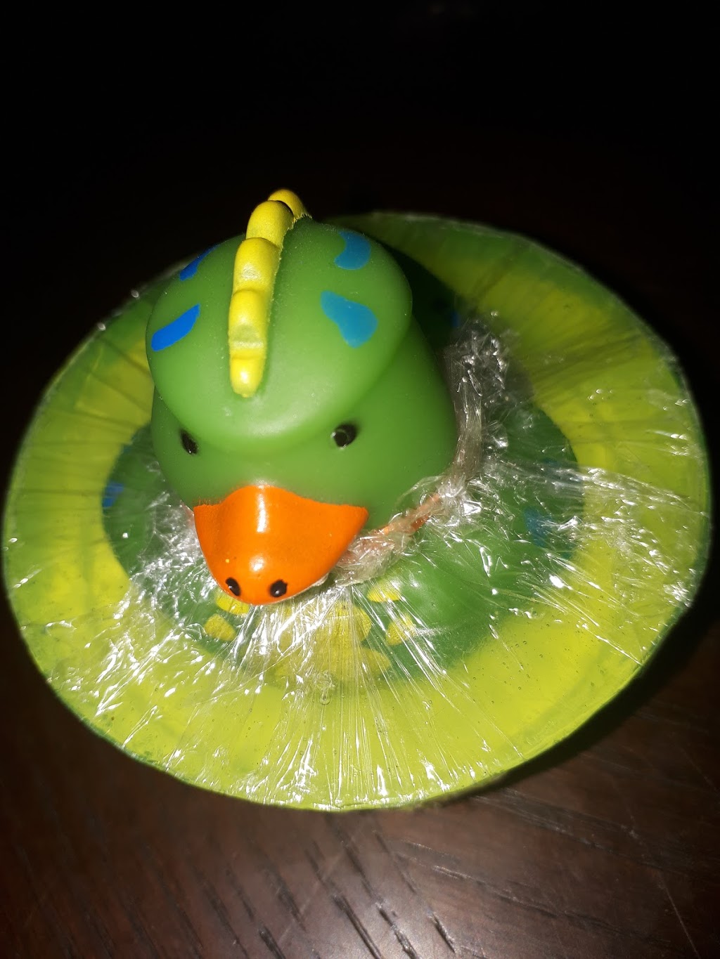 silly soap | 12617 203 St, Maple Ridge, BC V2X 4A1, Canada | Phone: (778) 235-5077