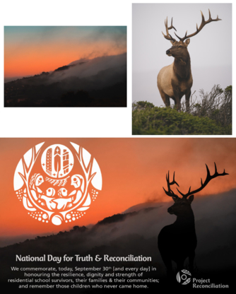 Dream Catcher Creative Media | 35 Riverbend Dr SE, Calgary, AB T2C 3K9, Canada | Phone: (403) 607-1903