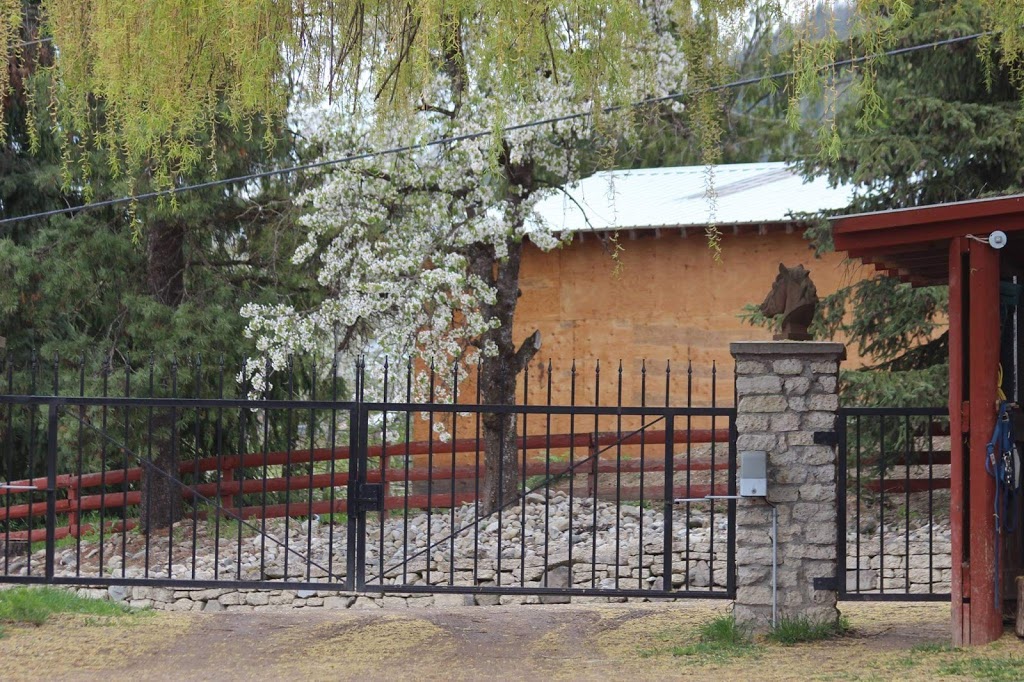 Teixeira Performance Stables | 6741 60 St NE, Canoe, BC V0E 1K0, Canada | Phone: (250) 803-6003