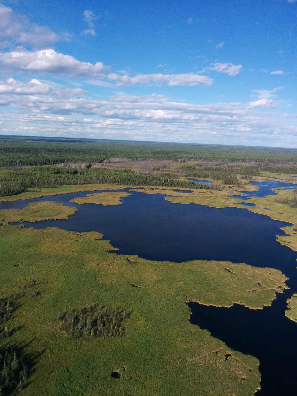 Cortex Vegetation Control | 6400 30 St NW, Edmonton, AB T6P 1J6, Canada | Phone: (780) 718-1458