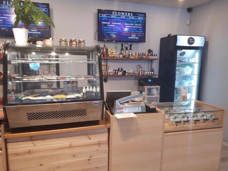 MMJ Canada | 146 Ottawa St N, Hamilton, ON L8H 3Z3, Canada | Phone: (905) 733-8826
