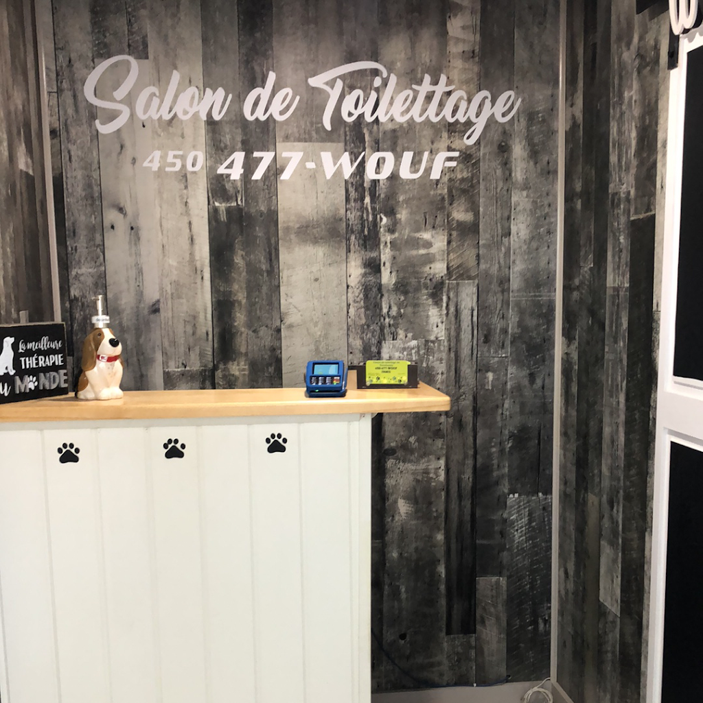 Salon de toilettage Terrebonne | 1895 Rue Louis Hébert, Terrebonne, QC J6X 2V5, Canada | Phone: (450) 477-9683