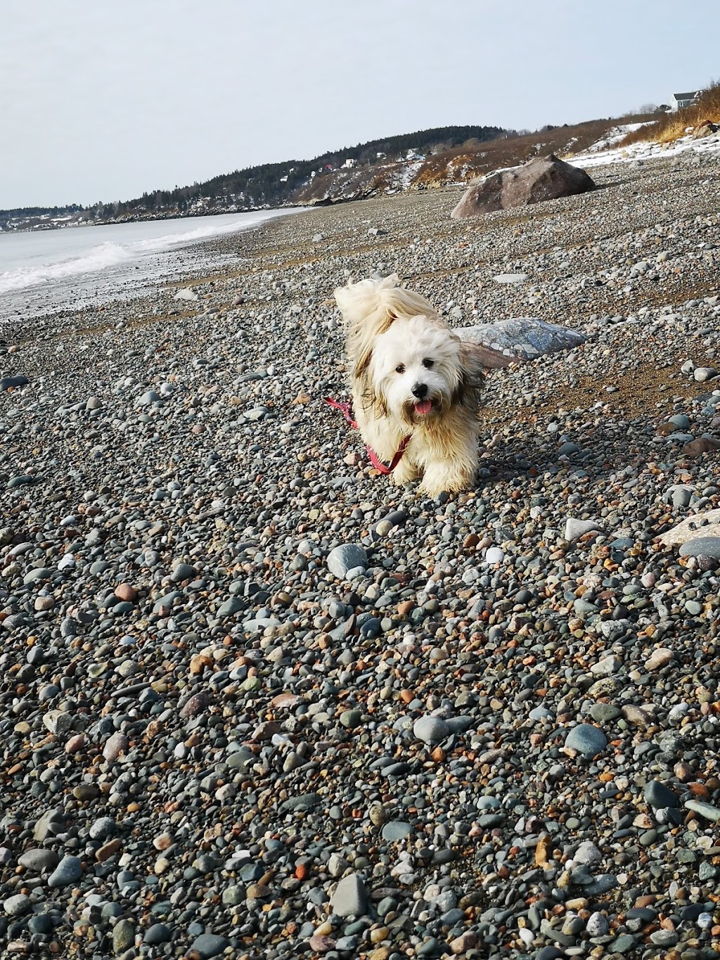 Bay Shore Beach | 599 Sea St, Saint John, NB E2M 2N5, Canada | Phone: (506) 633-9588