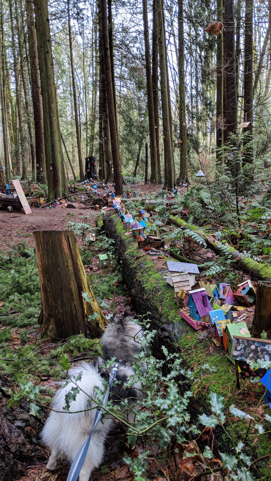 Redwood Park | 17900 20 Ave, Surrey, BC V3S 9V2, Canada | Phone: (604) 501-5050