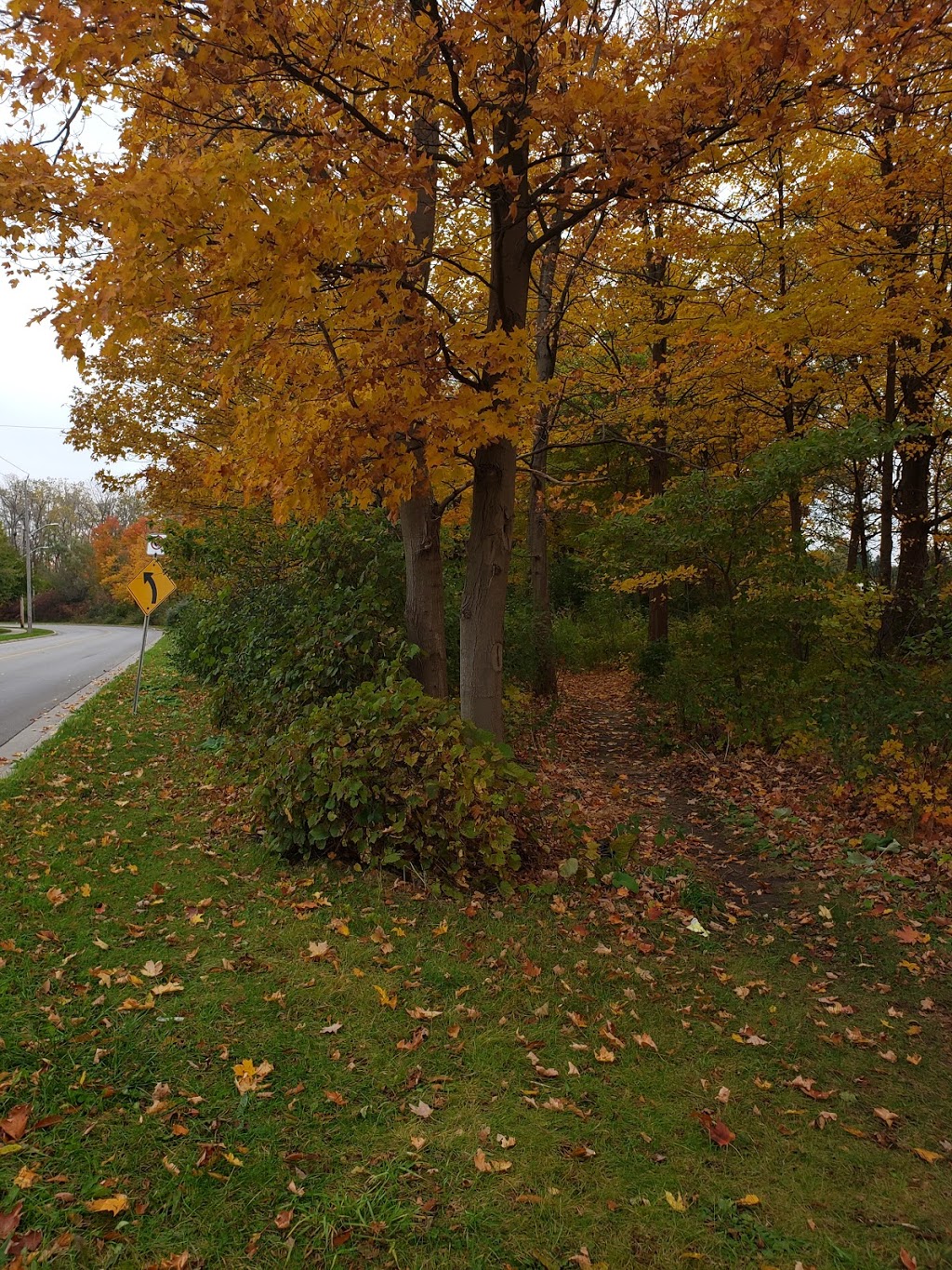 Lord Nelson Woods | 1978-1948 Wavell St, London, ON N5V 1N2, Canada | Phone: (519) 661-2489