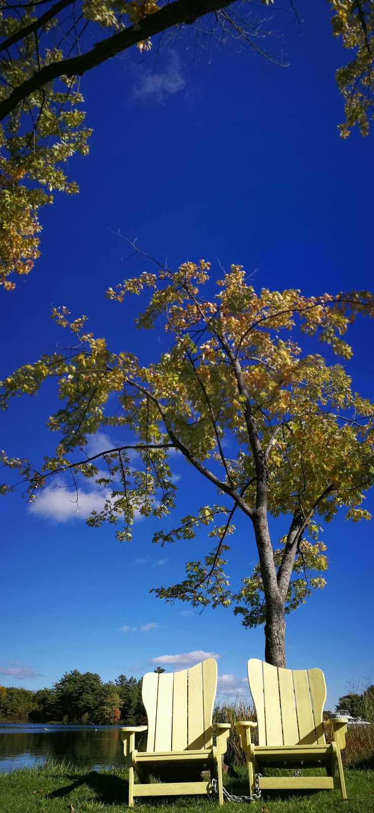 Port Severn Park | 39 Mintens Ln, Coldwater, ON L0K 1E0, Canada