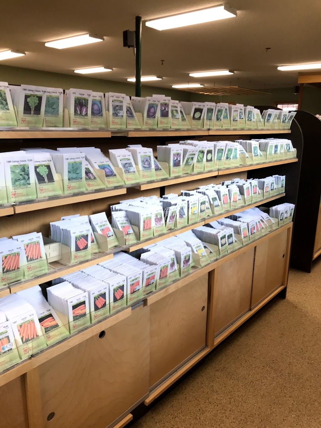 William Dam Seeds | 279 Hamilton, Regional Rd 8, Dundas, ON L9H 5E1, Canada | Phone: (905) 628-6641
