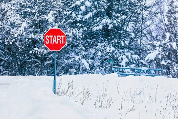 Vaughan Group | 66 Rowlands Ln, Ameliasburgh, ON K0K 1A0, Canada | Phone: (613) 503-2325