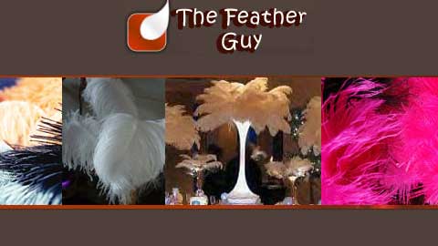 The Feather Guy | 2009 Lawrence Ave W #9, York, ON M9N 3V2, Canada | Phone: (416) 241-3364