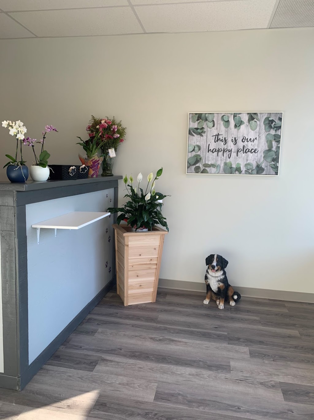 Creative Canine Dog Grooming | 750 Colborne St E Unit 6, Brantford, ON N3S 3S1, Canada | Phone: (519) 304-9247