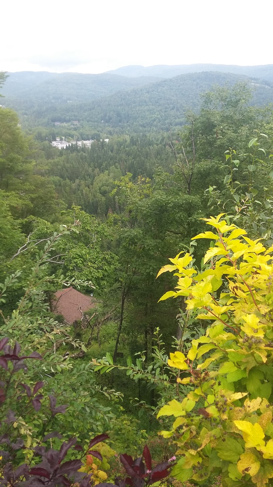 Melissa Colleret | 130 Rue de St Moritz, Sainte-Agathe-des-Monts, QC J8C 2Z7, Canada | Phone: (514) 799-4365