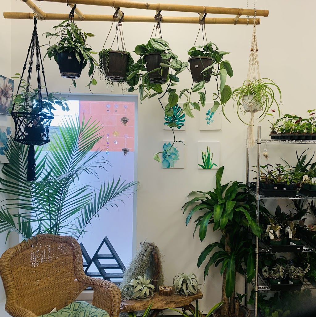 Soulstice plants and gifts | 17 Gatacre St, Ladysmith, BC V9G 1A1, Canada | Phone: (250) 734-1935