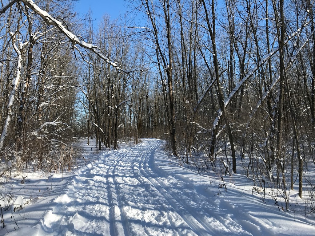 Centre Plein Air Brossard | 6195, Ch. des Prairies, Brossard, QC J4Z, Canada | Phone: (450) 445-9498