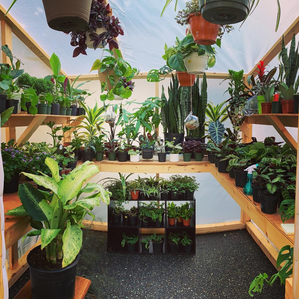 Grandmas Greenhouse | Surrey, BC V4P, Canada | Phone: (604) 868-3546