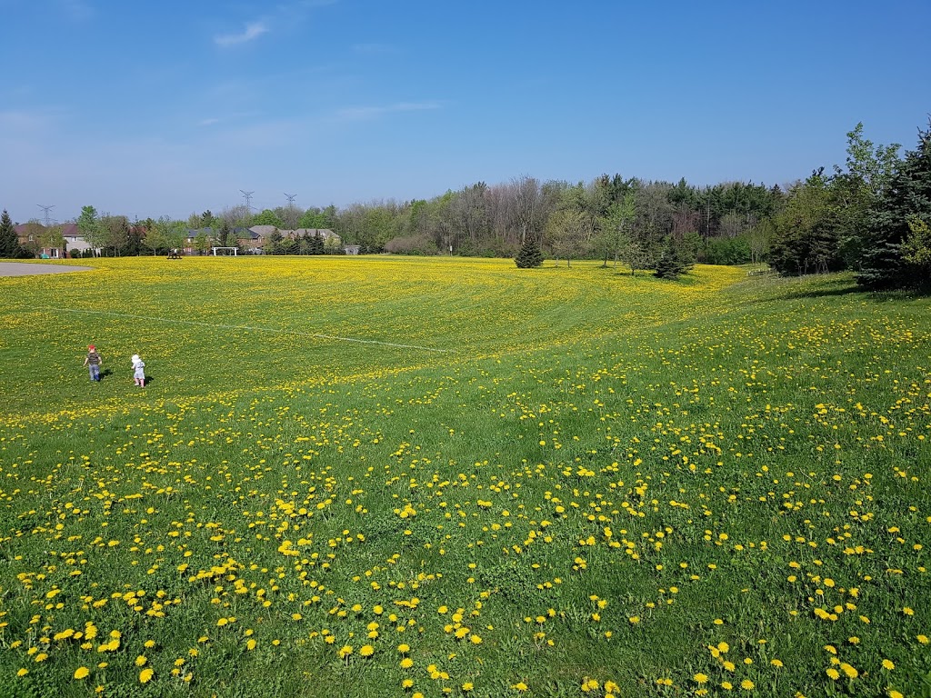 Knotty Pine Park | 835 Knotty Pine Grove, Mississauga, ON L5W 1K2, Canada