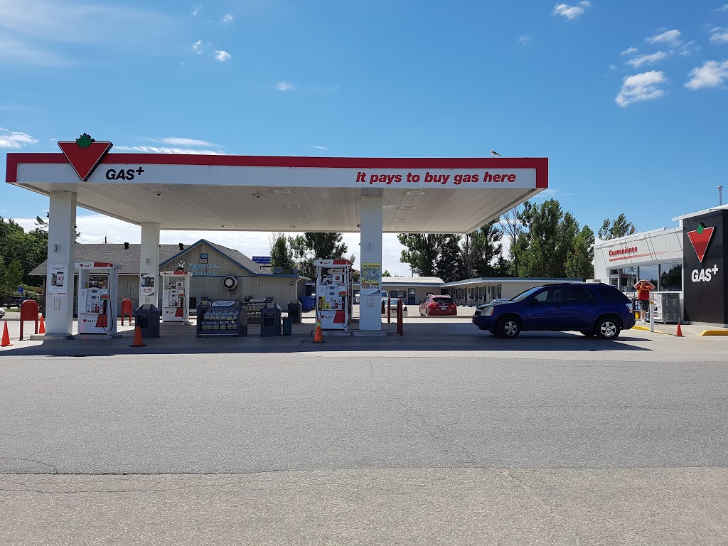 Canadian Tire Gas+ | 60 Joseph St, Parry Sound, ON P2A 2G5, Canada | Phone: (705) 746-5655