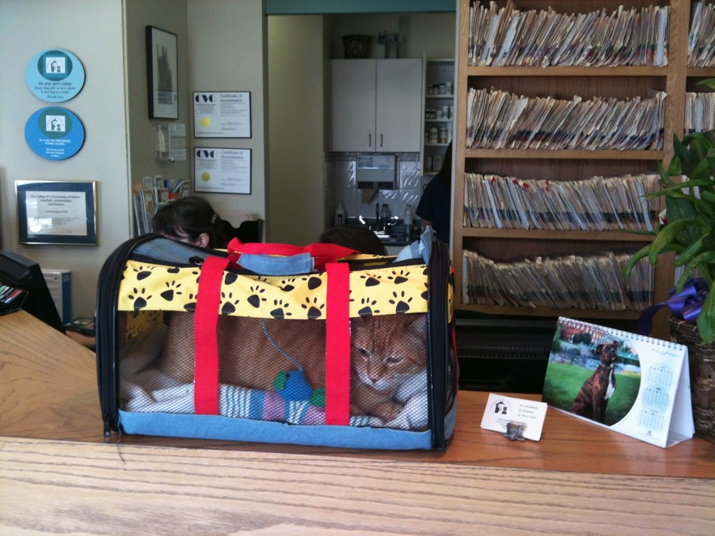 VCA Canada Pretoria Animal Hospital | 16 Pretoria Ave, Ottawa, ON K1S 1W7, Canada | Phone: (613) 565-0588