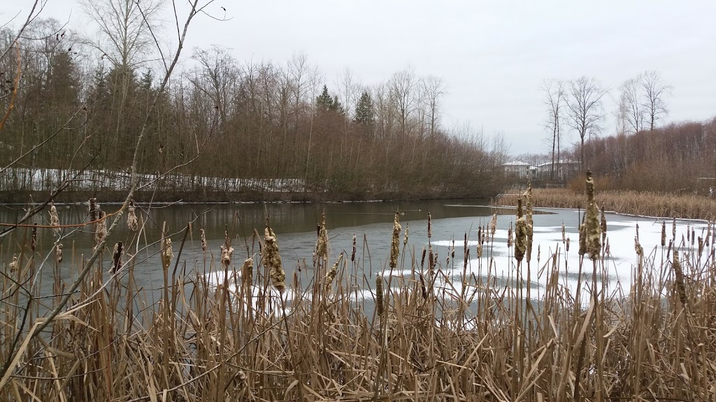 North Creek Duck Pond | 18590 70 Ave, Surrey, BC V4N 6B6, Canada