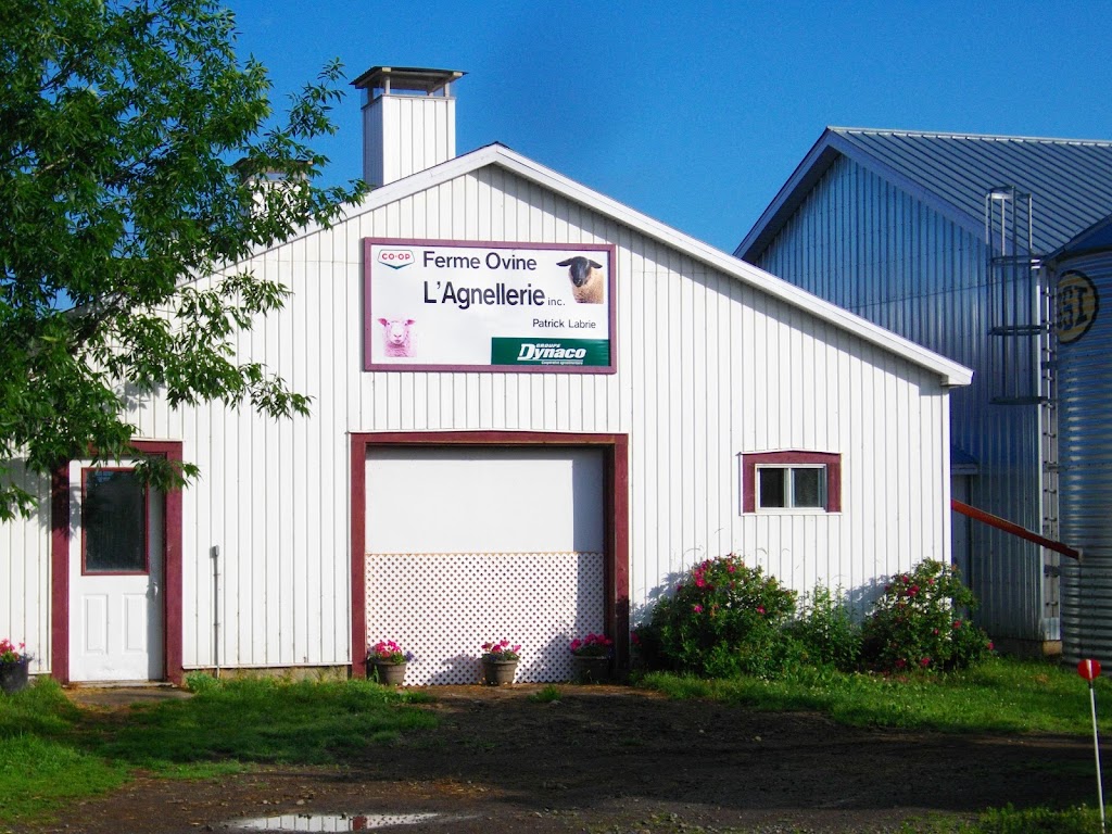 Agnellerie Inc (L) | 209 Rang de lEmbarras RR 1, Kamouraska, QC G0L 1M0, Canada | Phone: (418) 492-3551