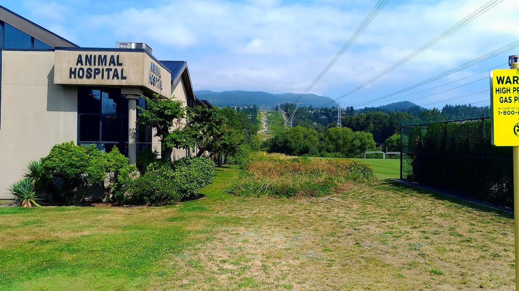 Eagle Ridge Animal & Bird Hospital | 2599 Runnel Dr, Coquitlam, BC V3E 1S3, Canada | Phone: (604) 464-3343