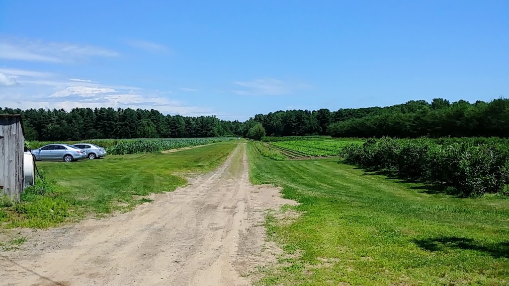 Pick-your-own Petits Délices farm for strawberries raspberries blueberries | 830 Rang du Haut de la Rivière, Pierreville, QC J0G 1J0, Canada | Phone: (450) 568-3360