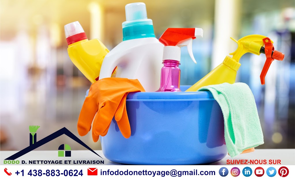 Dodo Déménagement Nettoyage et Livraison | 11300 Bd Langelier Local 6, Montréal-Nord, QC H1G 6H9, Canada | Phone: (438) 883-0624