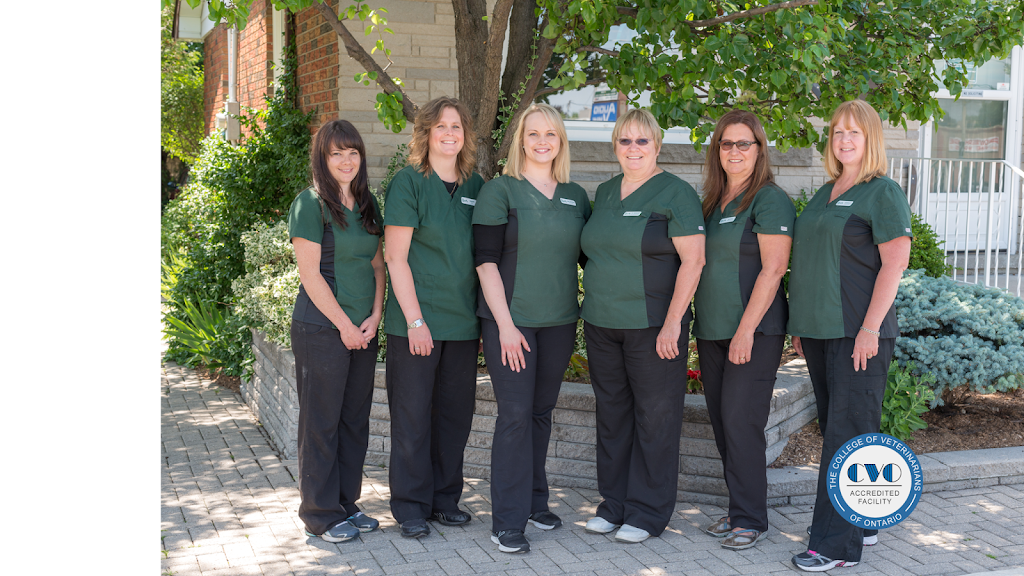 Brantford Veterinary Clinic | 277 King George Rd, Brantford, ON N3R 5L1, Canada | Phone: (519) 756-2390