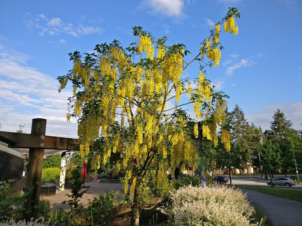 Town Centre Park Inspiration Garden | 3091-3099 Guildford Way, Coquitlam, BC V3B 4S1, Canada
