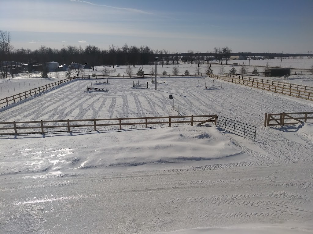 Ferme Willowbrook Farm (École déquitation classique) | 9125 Rue St Vincent, Mirabel, QC J7N 2V5, Canada | Phone: (514) 606-3327