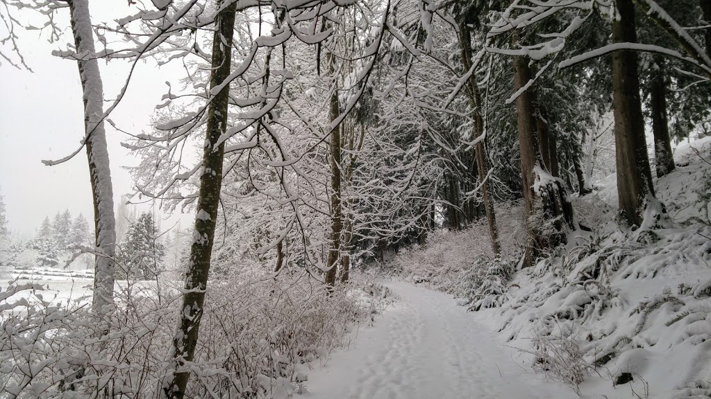 Lake Louise | 2 Marigold Dr, Bellingham, WA 98229, USA
