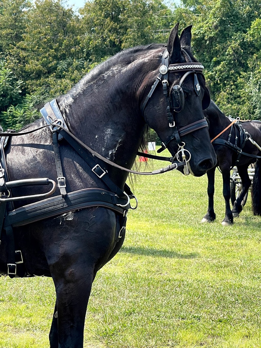 Bayfield Agricultural Society Grounds | 1 Fry St, Bayfield, ON N0M 1G0, Canada | Phone: (519) 482-5490