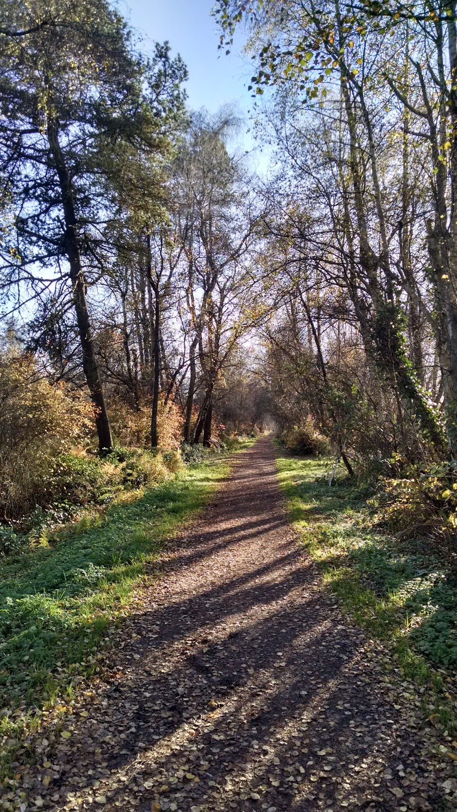 Richmond Nature Park | 11851 Westminster Hwy, Richmond, BC V6X 1B4, Canada | Phone: (604) 718-6188