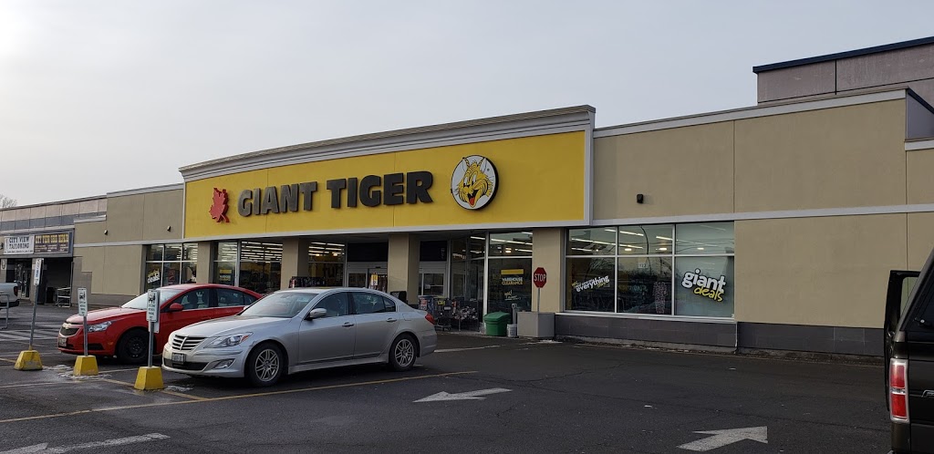 Giant Tiger | 1512 Merivale Rd, Nepean, ON K2G 3J6, Canada | Phone: (613) 225-7558
