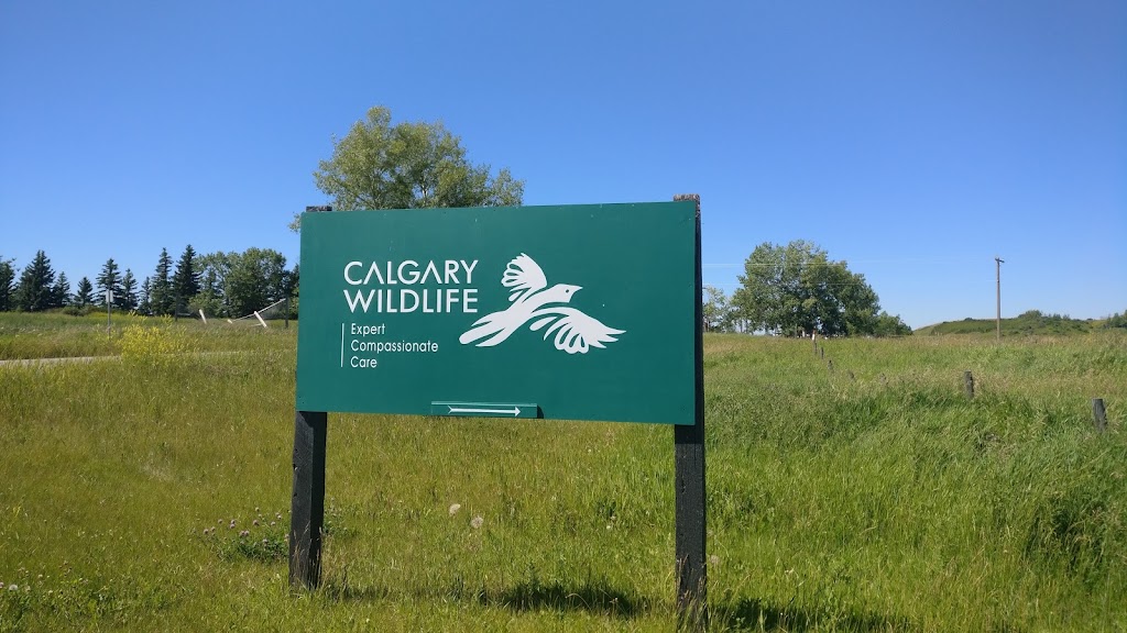 Calgary Wildlife Rehabilitation Society | 11555 85 St NW, Calgary, AB T3R 1J3, Canada | Phone: (403) 214-1312