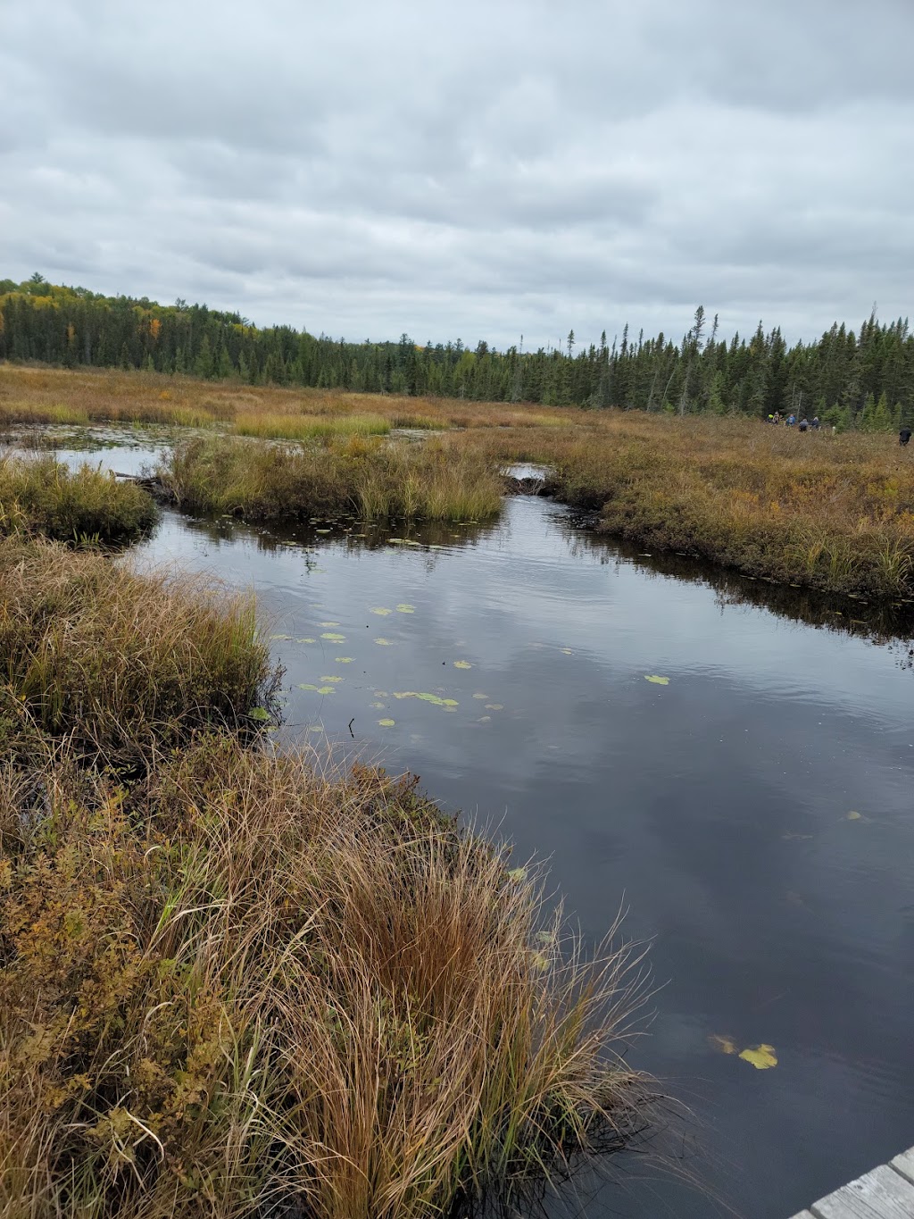 Algonquin Provincial Park | Ontario 60, Ontario K0J 2M0, Canada | Phone: (705) 633-5572
