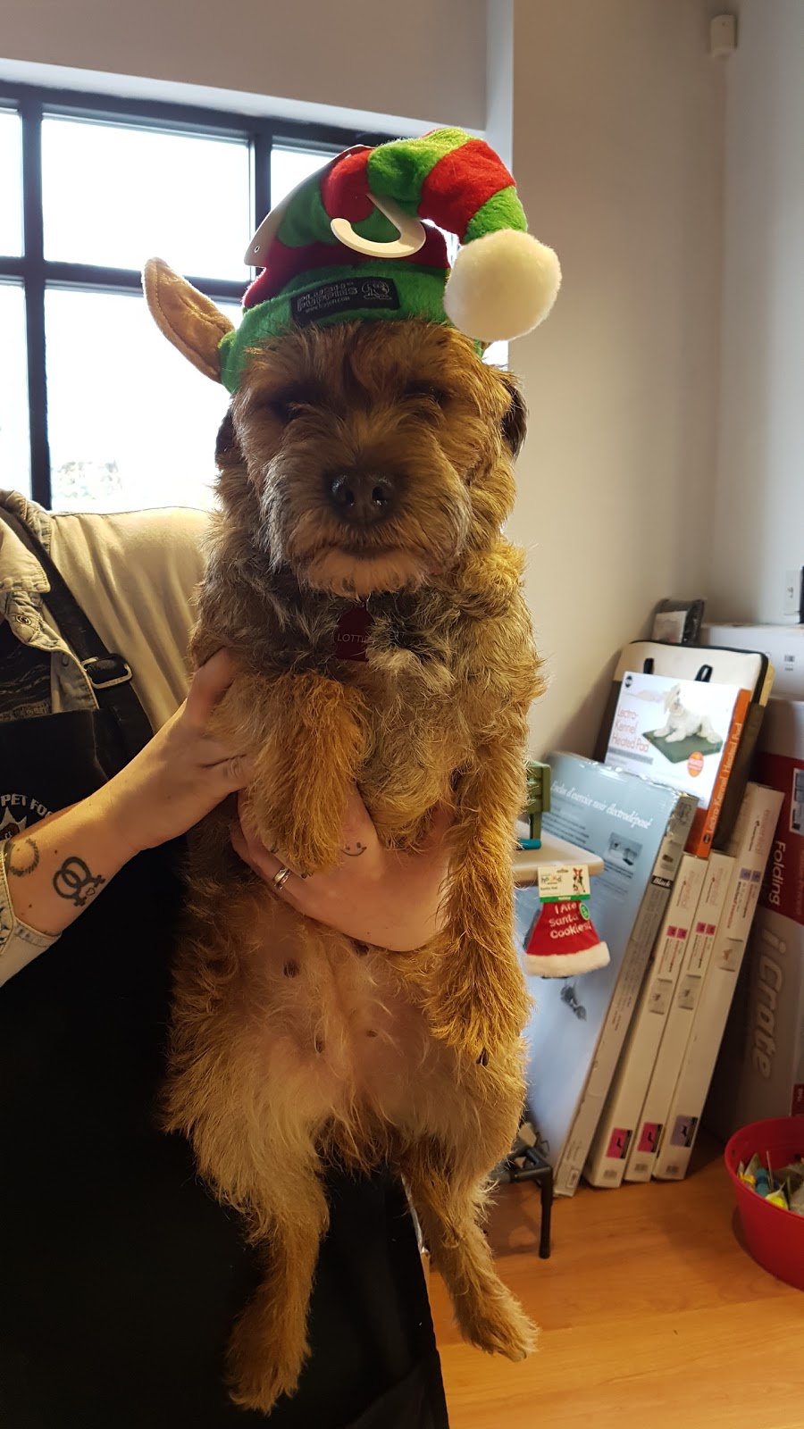 Global Pet Foods Bank St | 1176 Bank St, Ottawa, ON K1S 3X9, Canada | Phone: (613) 422-6741
