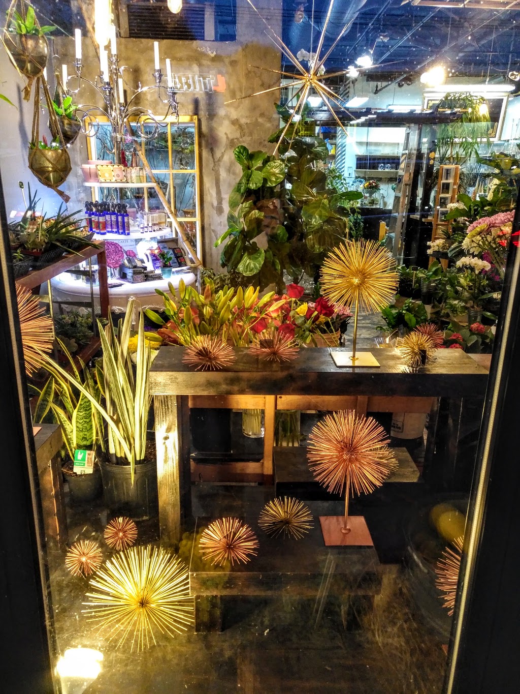 The Bloomerie | 2793 Arbutus St, Vancouver, BC V6J 3Y5, Canada | Phone: (778) 379-7037
