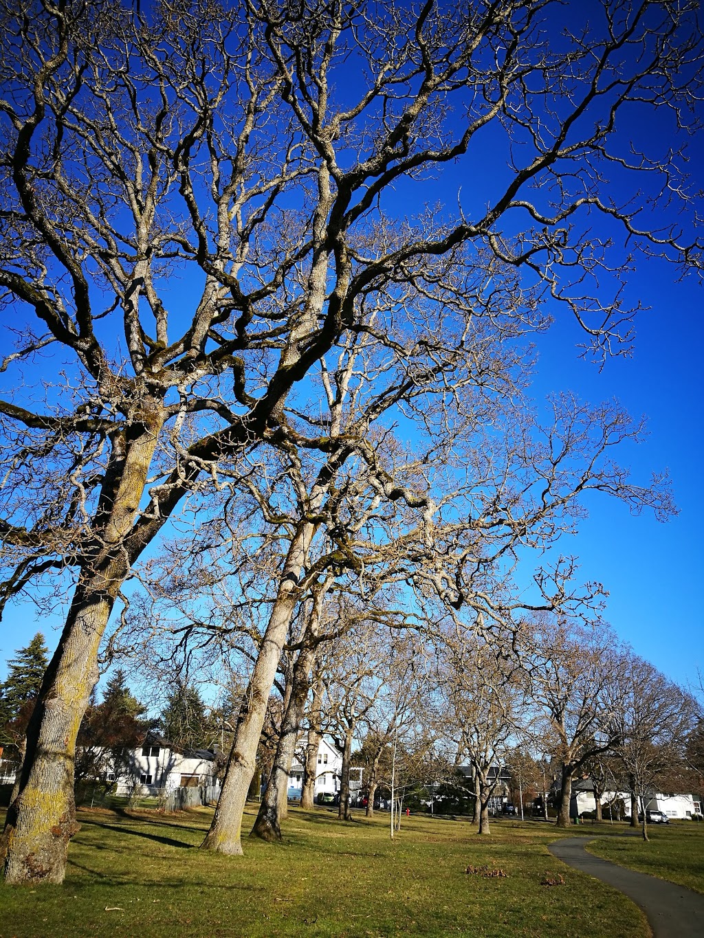 Hyacinth Park | Saanich, BC V8Z, Canada
