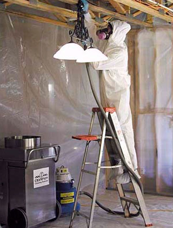 Mold stars | 351 Spinnaker Way, Concord, ON L4K 4N4, Canada | Phone: (877) 400-6653