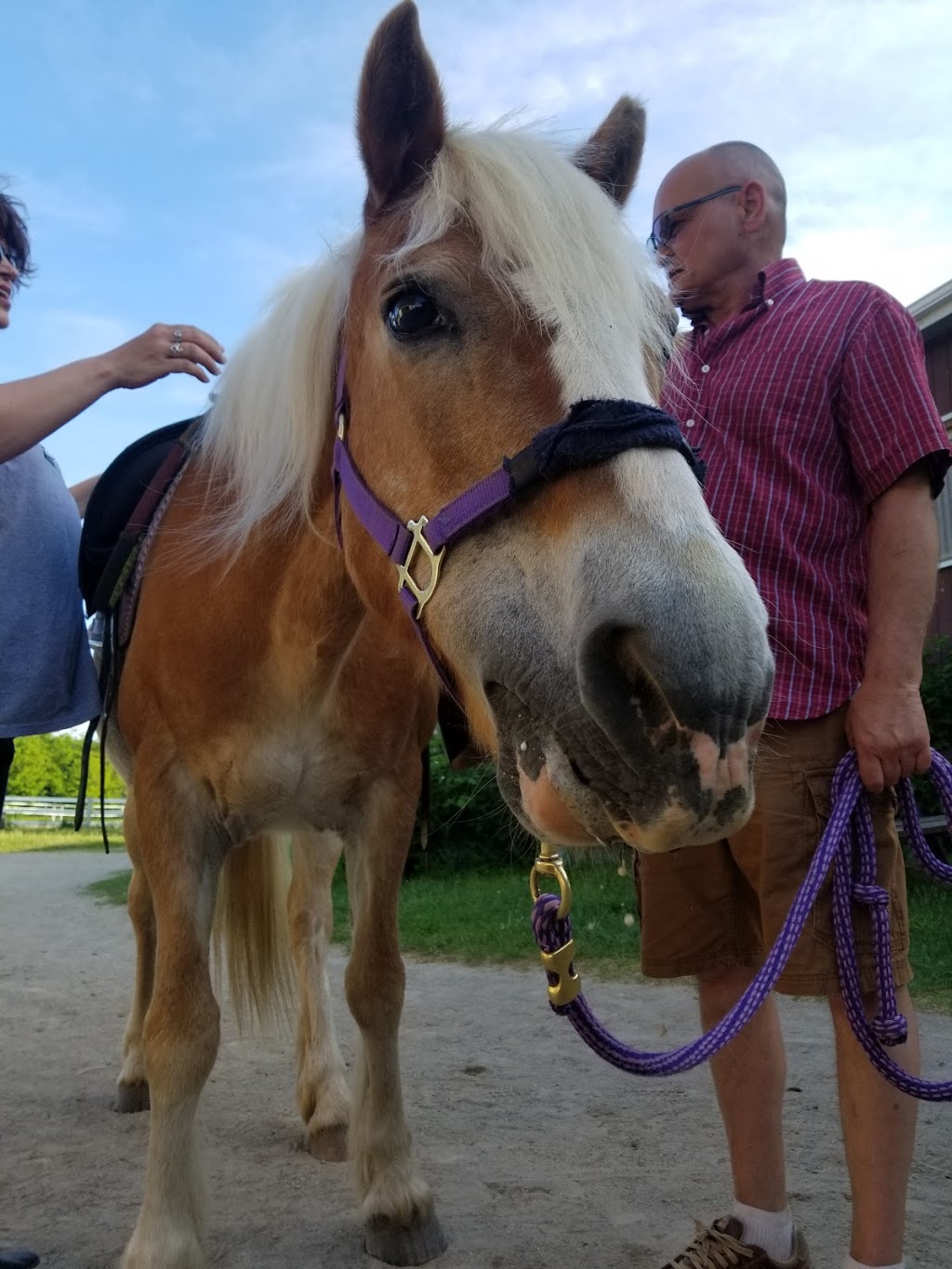 Central Ontario Developmental Riding Program | 584 Pioneer Tower Rd, Kitchener, ON N2P 2W7, Canada | Phone: (519) 653-4686