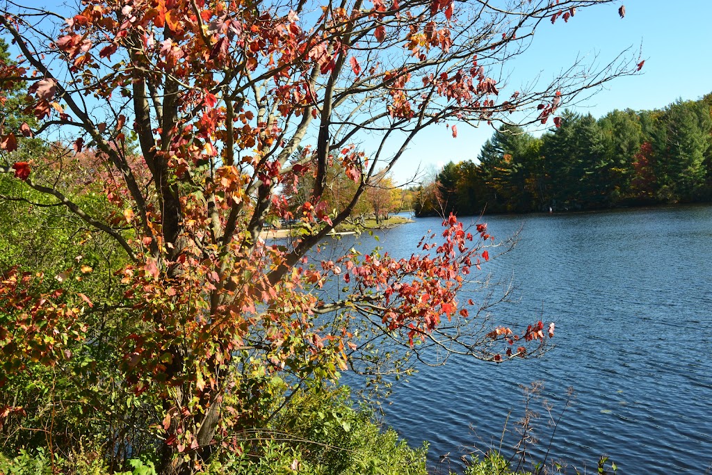 Lions Park | Dam Trail, Magnetawan, ON P0A 1P0, Canada | Phone: (705) 387-3947