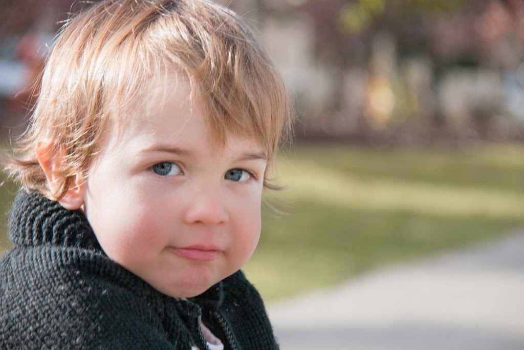 BearBytes Photography | 275 Elgin Way SE, Calgary, AB T2Z 4J9, Canada | Phone: (403) 630-9995
