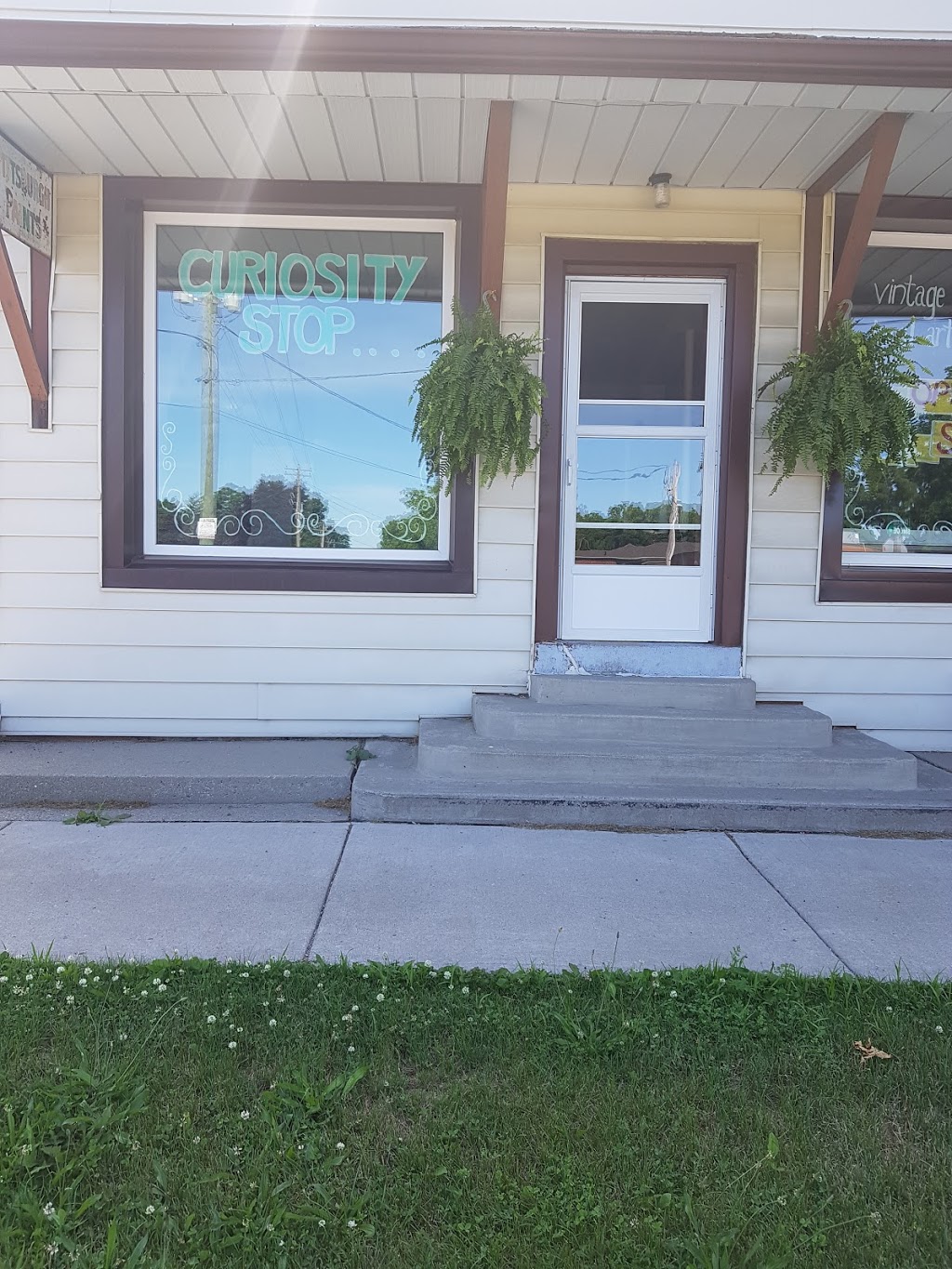 Curiosity Stop | 49 Simcoe St, Scotland, ON N0E 1R0, Canada