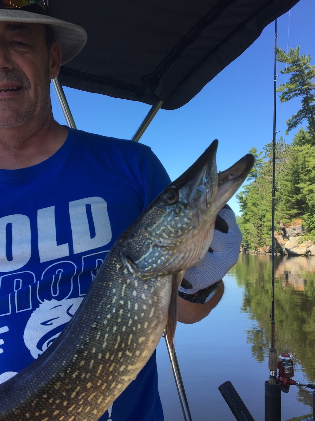 Holden Lake Lodge | 121 Chem. du Soleil, Rapides-des-Joachims, QC J0X 3M0, Canada | Phone: (613) 602-2297