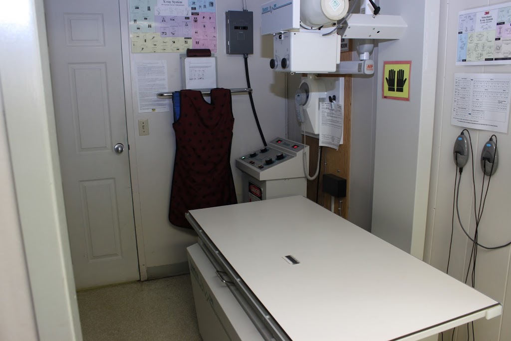 Clearwater Animal Hospital | 1117 Walker Rd, Windsor, ON N8Y 2N8, Canada | Phone: (519) 253-7204