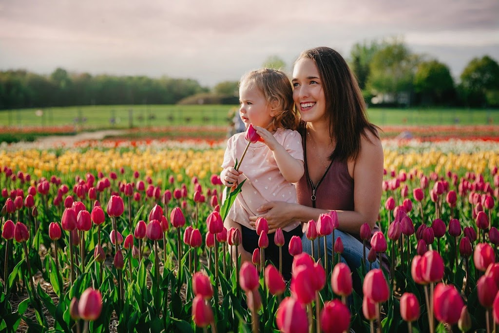 Tulipes.ca | 1055 Rue Principale, 1201 Chem. du Général Vanier, Laval, QC H7X 0C9, Canada | Phone: (450) 639-5145