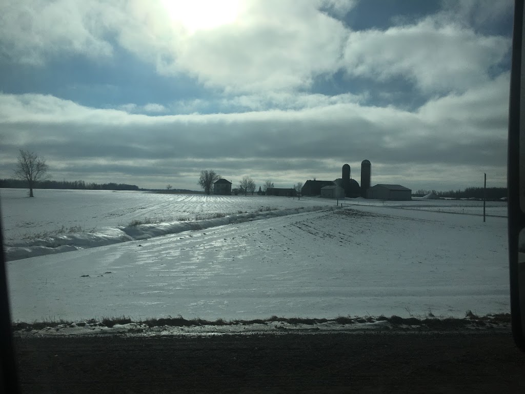 Phares Martin | 8348 Wellington Rd 86, Listowel, ON N4W 3G8, Canada | Phone: (519) 291-5476