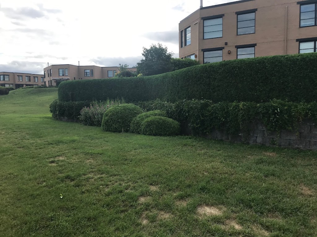 Les Agents de la Haie | 2520 Rue Maurice-Savoie, Longueuil, QC J4N 0J7, Canada | Phone: (581) 984-6165
